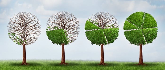 Landscape-marketing header